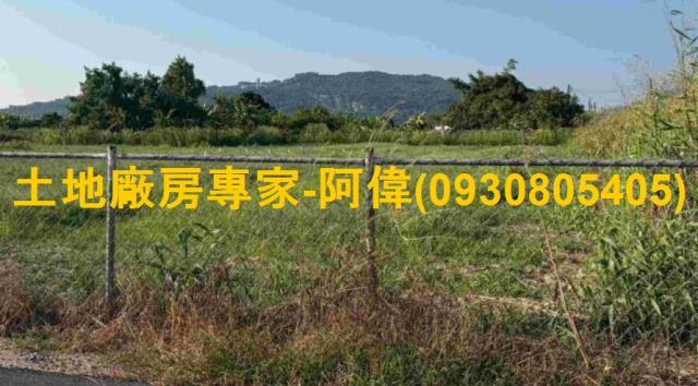 燕巢農地-0